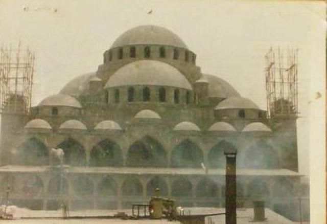 12651167 806191389526745 5317669878047546239 n