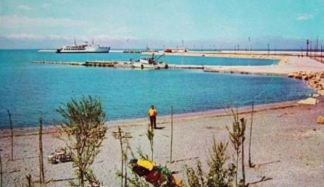 12654409 806193242859893 602094784206403027 n