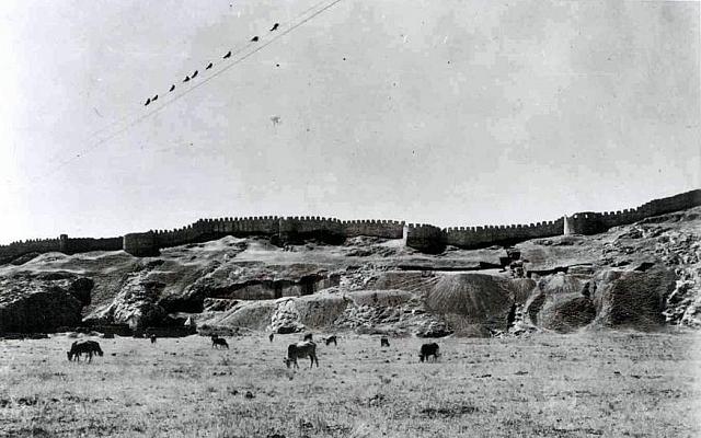 12705447 806191579526726 8643273322485772214 n