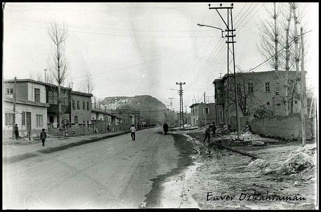 12715499 806195669526317 1111269449685499411 n