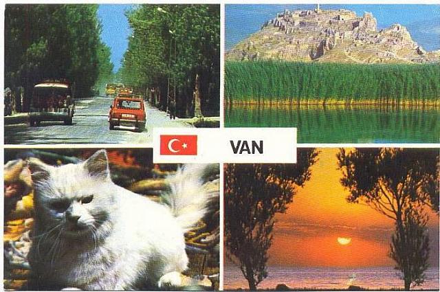Kartpostal